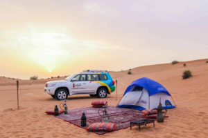 Choose the Top Right Desert Safari in Dubai Tips in the Tour.