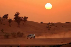 Best Desert Safari in Dubai Sunset for Families.
