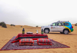 Experience a Luxury Desert Safari in Dubai Elegance