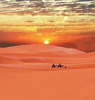 Why You Choose a Desert Safari in Dubai Morning & Evening?