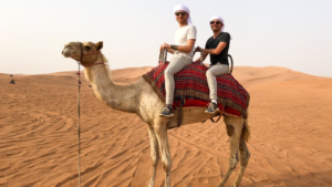 Safe Camel Rides Fix Desert Safari in Dubai Fears